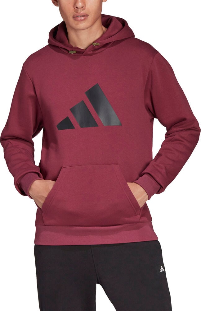 Sportswear Future Icons Winterized Hættetrøje fra Adidas