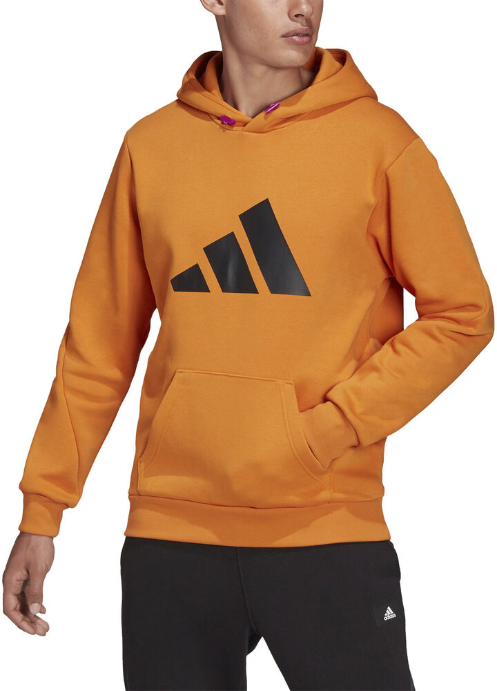 Sportswear Future Icons Winterized Hættetrøje fra Adidas