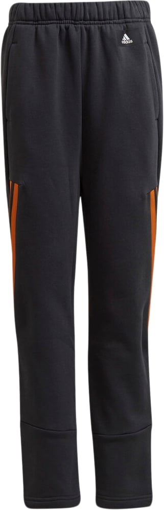 Future Icons Winterized Joggingbukser fra Adidas