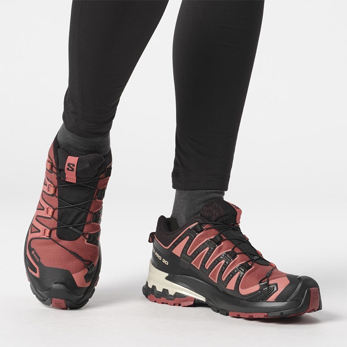 Black Friday Salomon Xa Pro 3D V9 GTX Vandresko til Damer