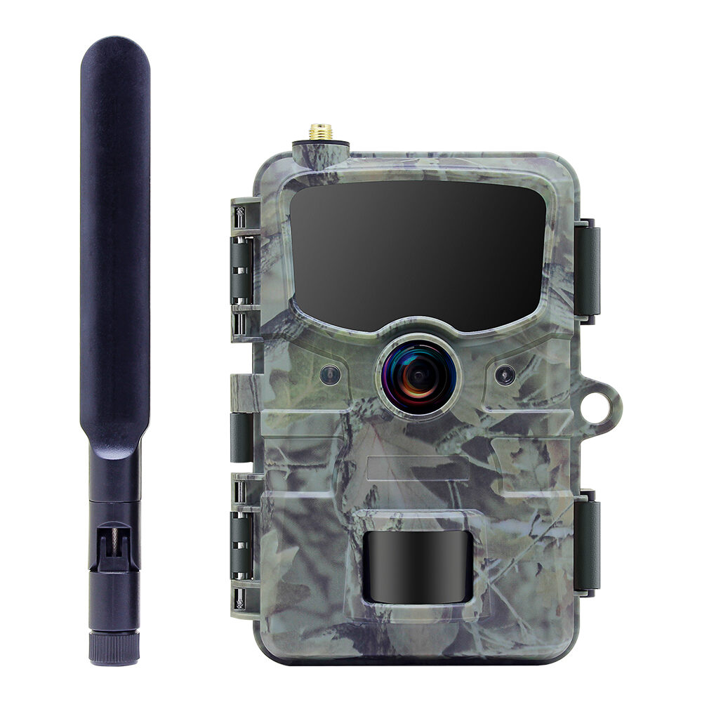 Stealth Gear Hedgehog  P  G Wildcamera