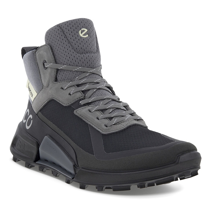 Ecco Biom Mountain Gtx Women Black Steel