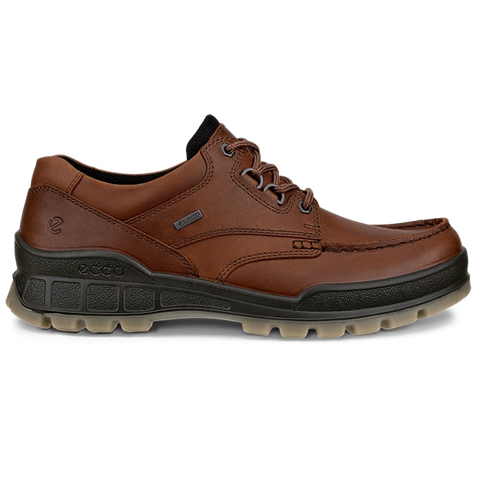 Ecco Track Low Gtx Herre Mænd Bison Vandresko