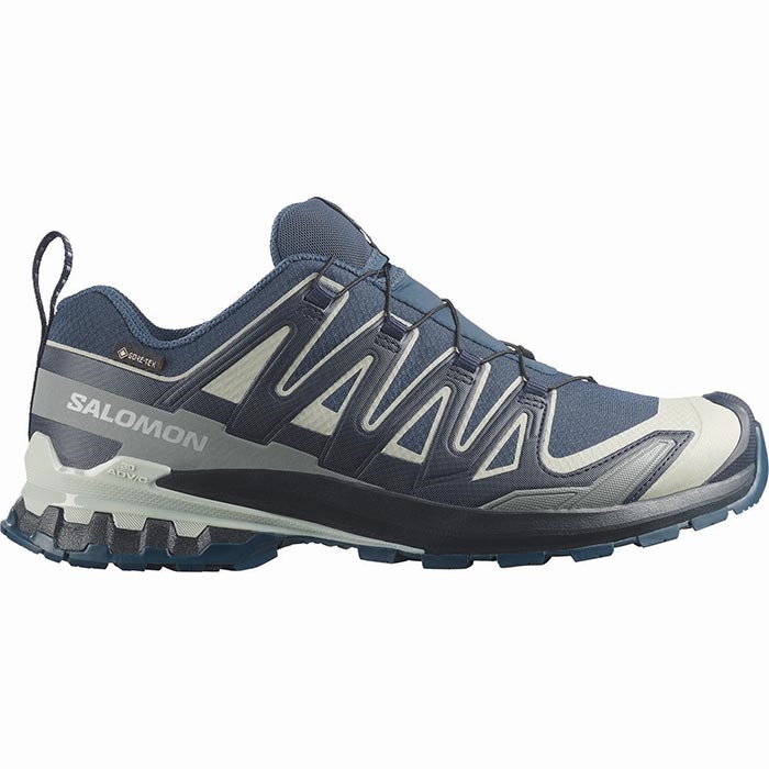 Salomon Xa Pro  D V  Gtx Herre   Mænd  Spellb Mar Blue    Uk     Vandresko