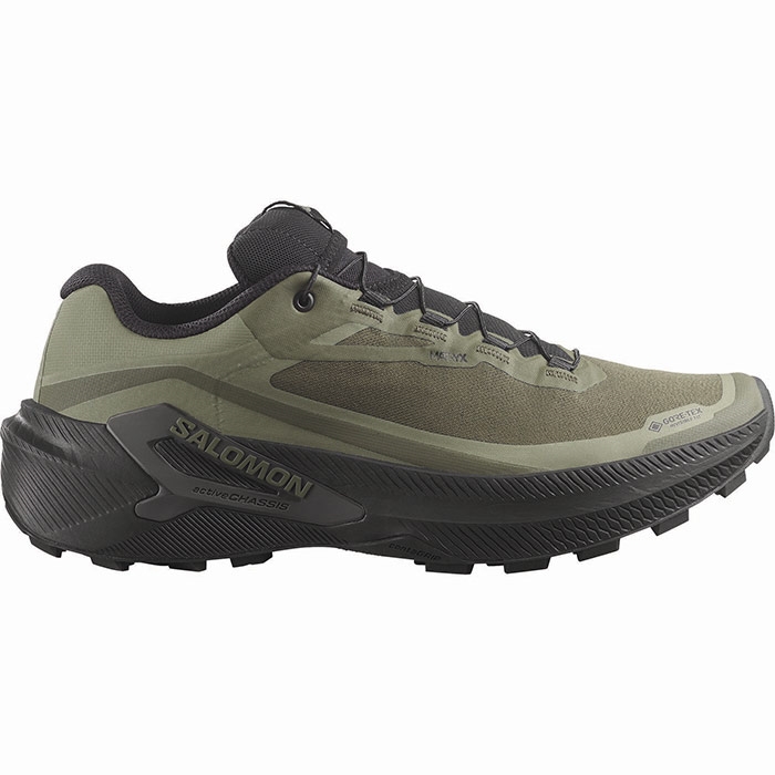 Salomon Genesis   Gtx Herre   Mænd  Grape Leaf Blk Dlg      Uk     Vandresko